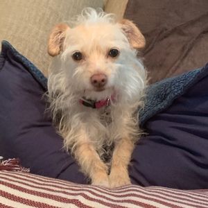 Meet your Posher, Caitlin